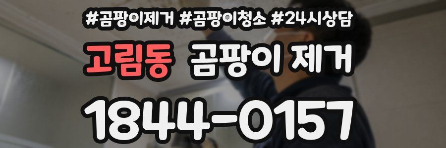 고림동 곰팡이 제거