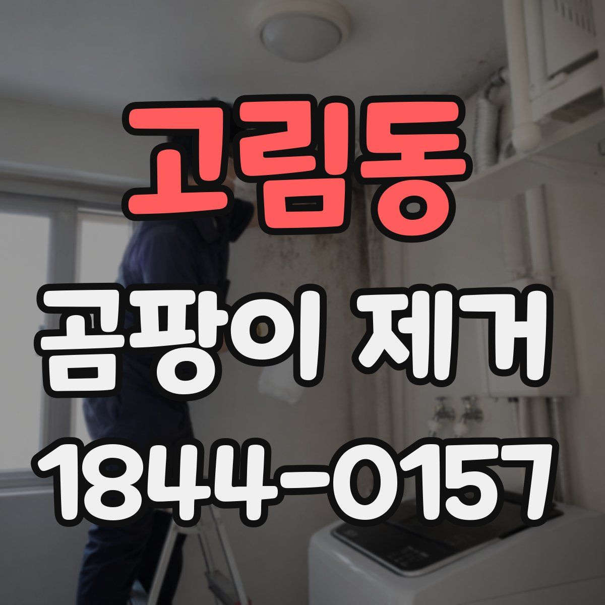 고림동 곰팡이 제거