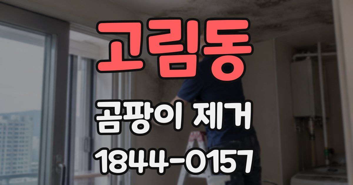 고림동 곰팡이 제거