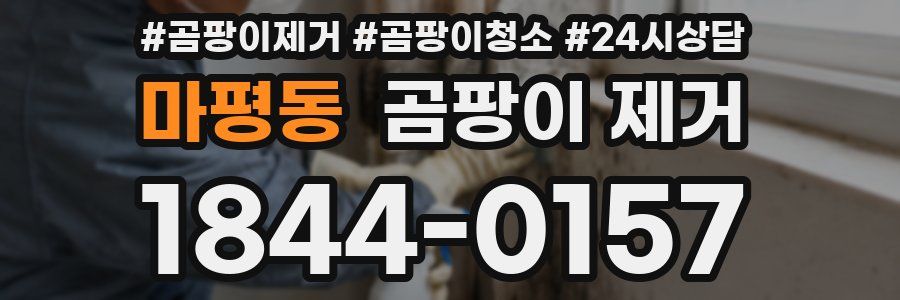 마평동 곰팡이 제거