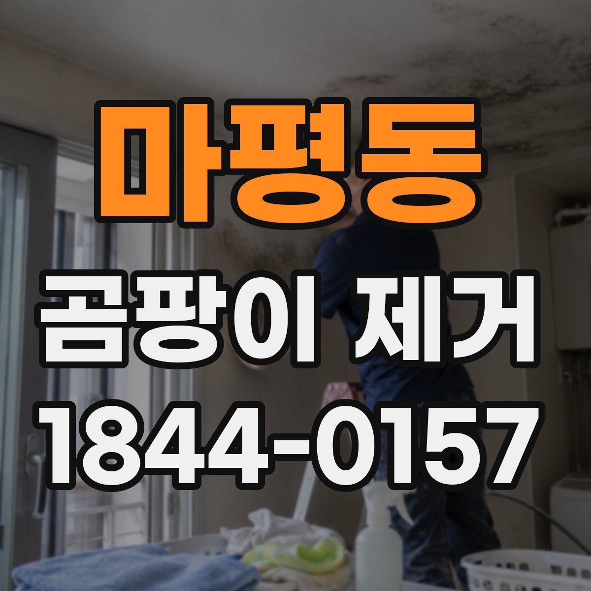 마평동 곰팡이 제거