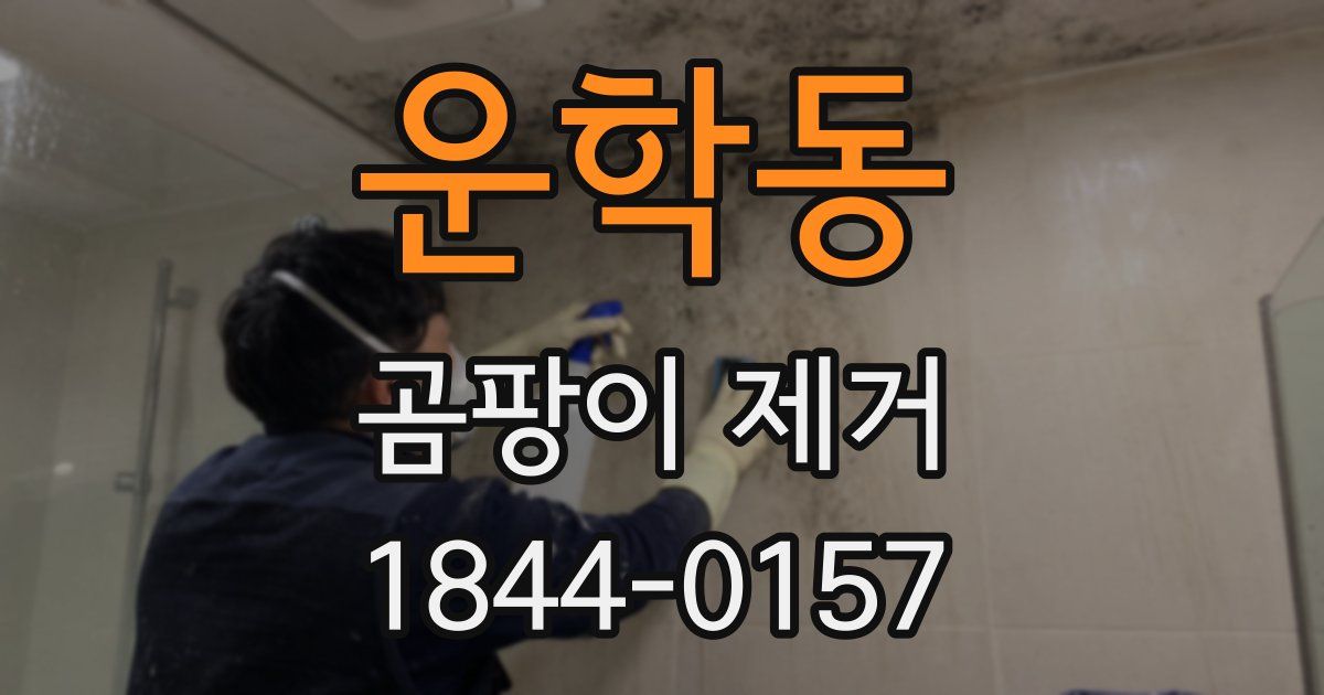 운학동 곰팡이 제거