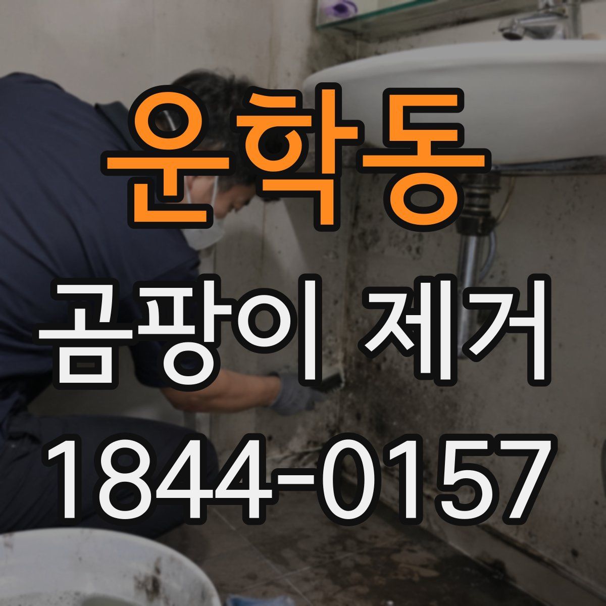 운학동 곰팡이 제거