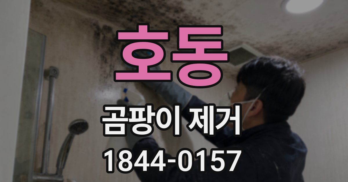 호동 곰팡이 제거