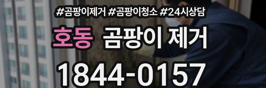 호동 곰팡이 제거