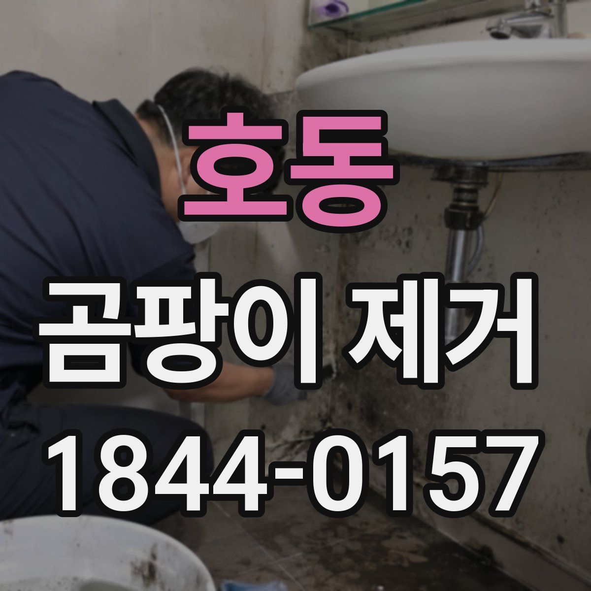호동 곰팡이 제거