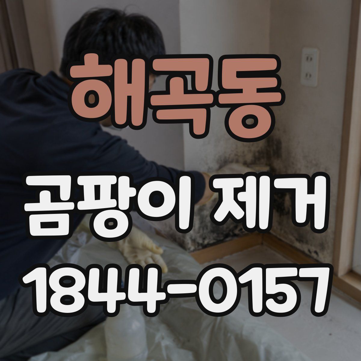 해곡동 곰팡이 제거