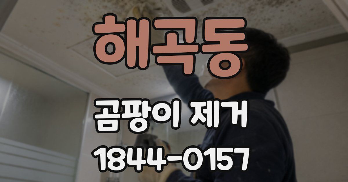 해곡동 곰팡이 제거