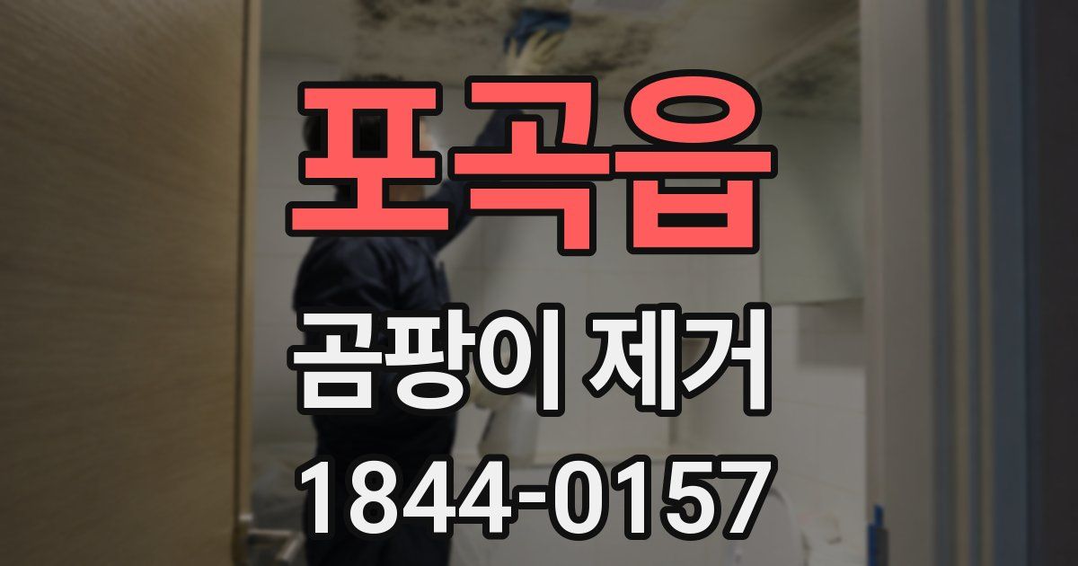 포곡읍 곰팡이 제거