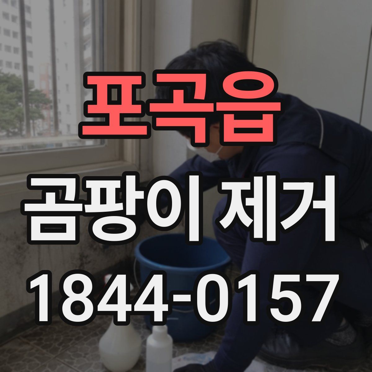 포곡읍 곰팡이 제거