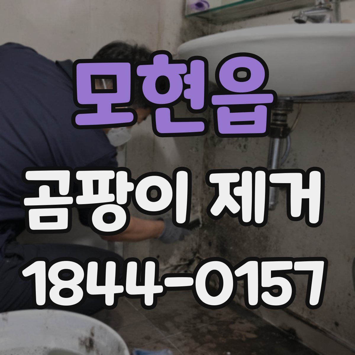 모현읍 곰팡이 제거