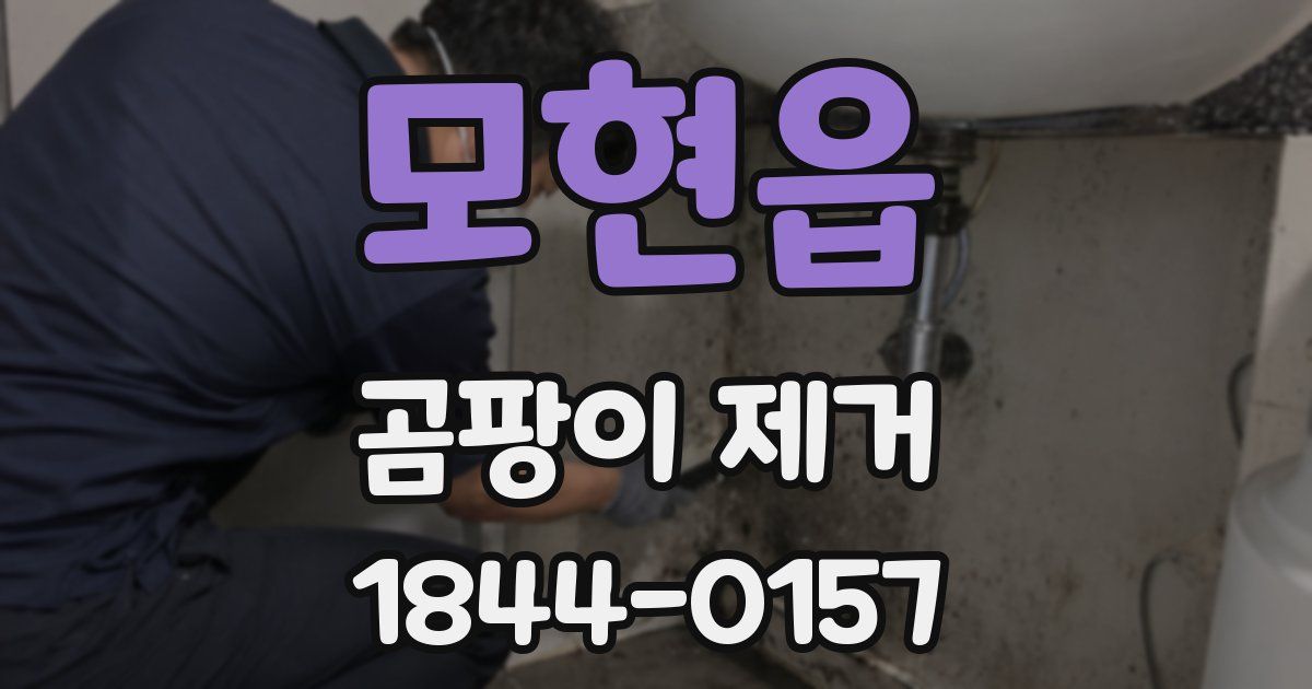 모현읍 곰팡이 제거