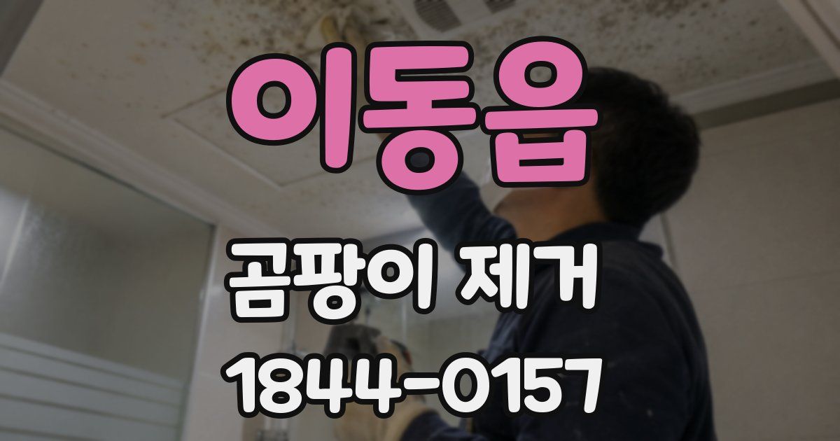 이동읍 곰팡이 제거