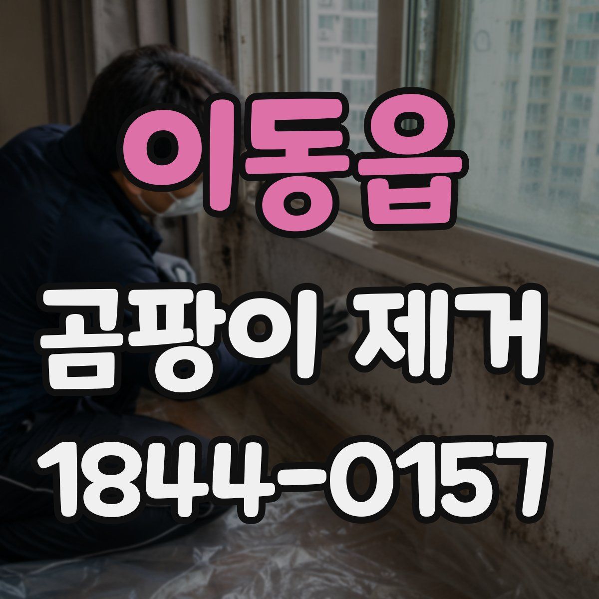 이동읍 곰팡이 제거