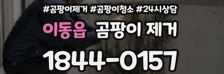 이동읍 곰팡이 제거