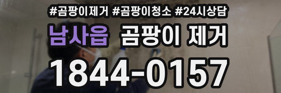 남사읍 곰팡이 제거