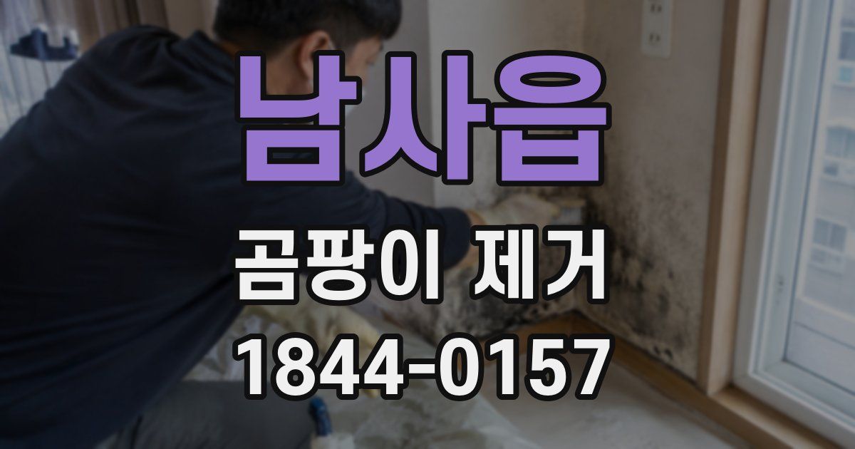 남사읍 곰팡이 제거