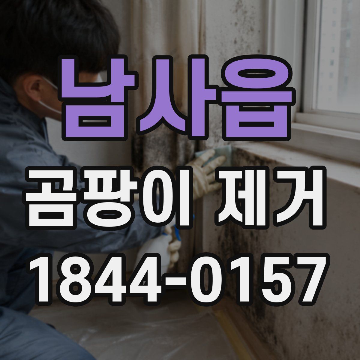 남사읍 곰팡이 제거