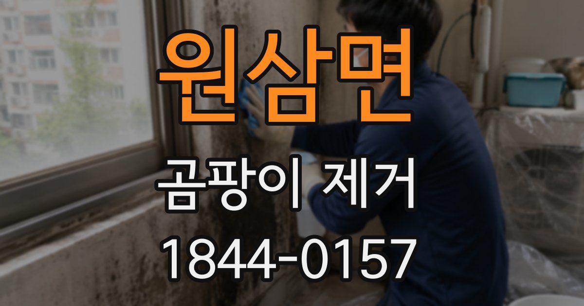 원삼면 곰팡이 제거