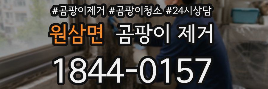 원삼면 곰팡이 제거