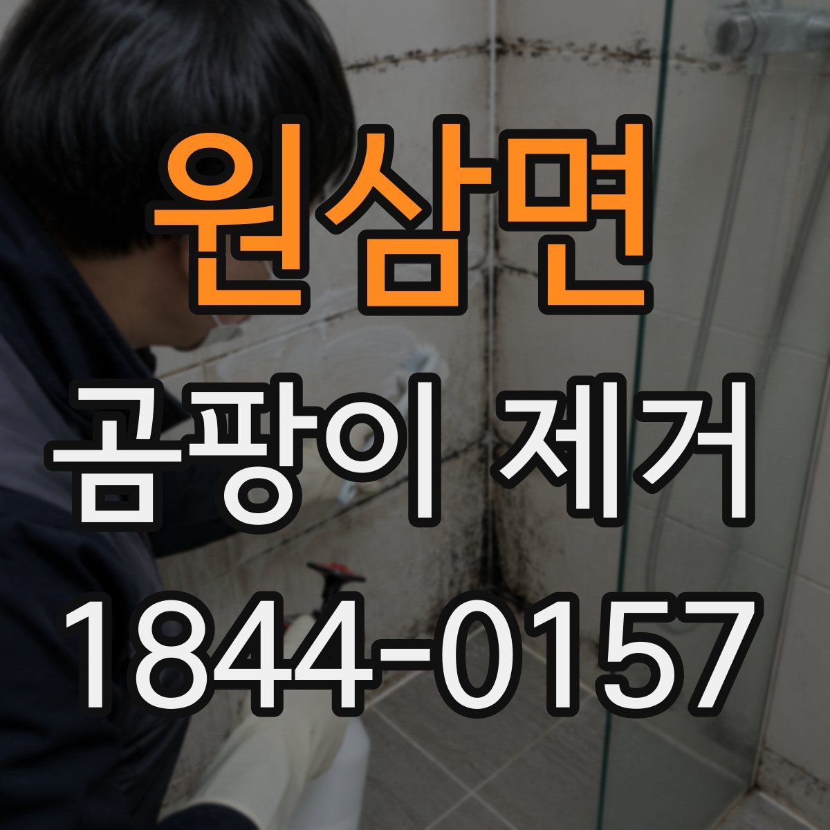 원삼면 곰팡이 제거