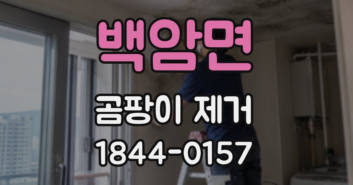 백암면 곰팡이 제거