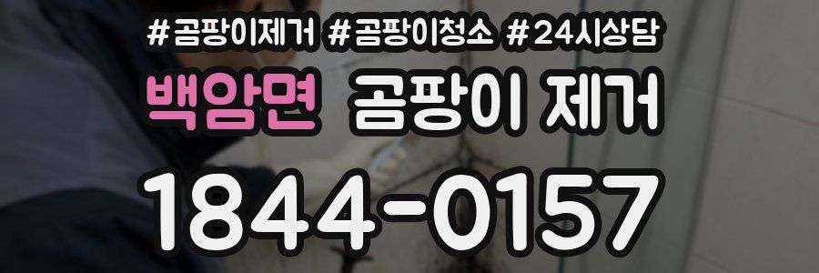 백암면 곰팡이 제거