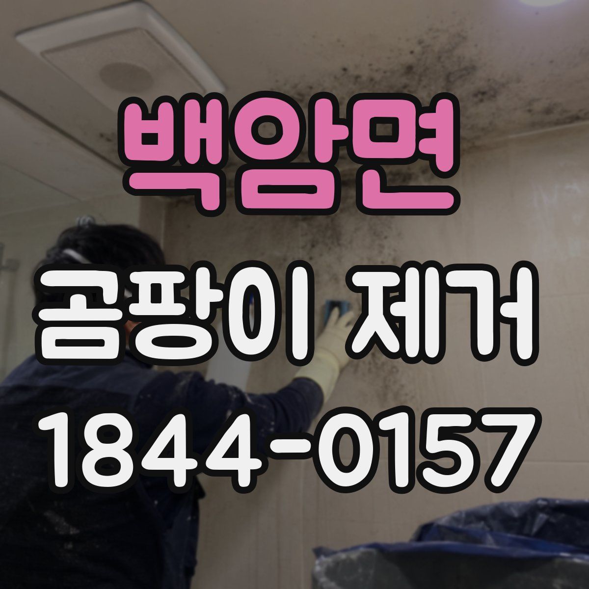 백암면 곰팡이 제거