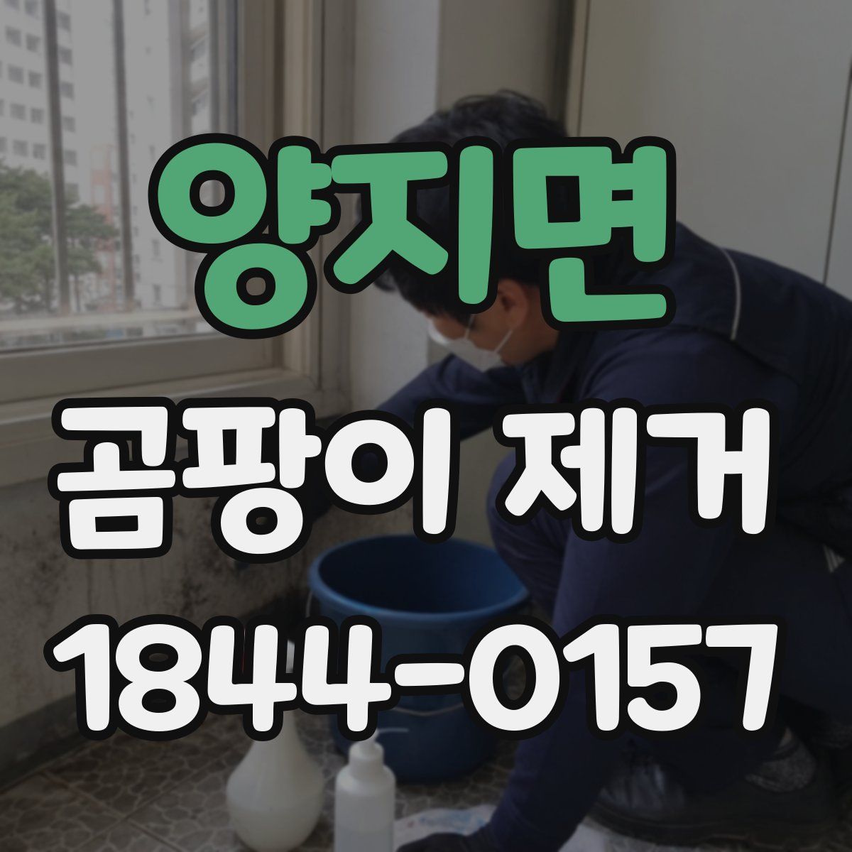 양지면 곰팡이 제거