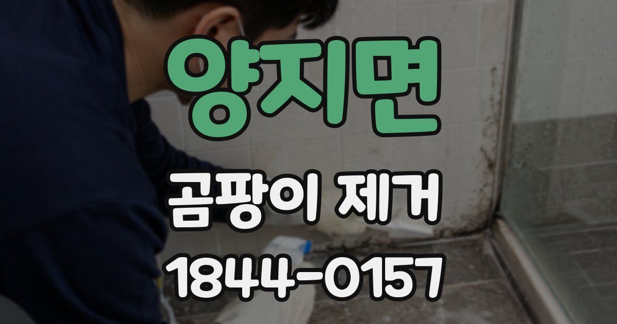 양지면 곰팡이 제거