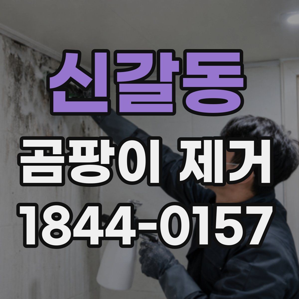 신갈동 곰팡이 제거 실내 환기 부족이 의심될 때 살필 점