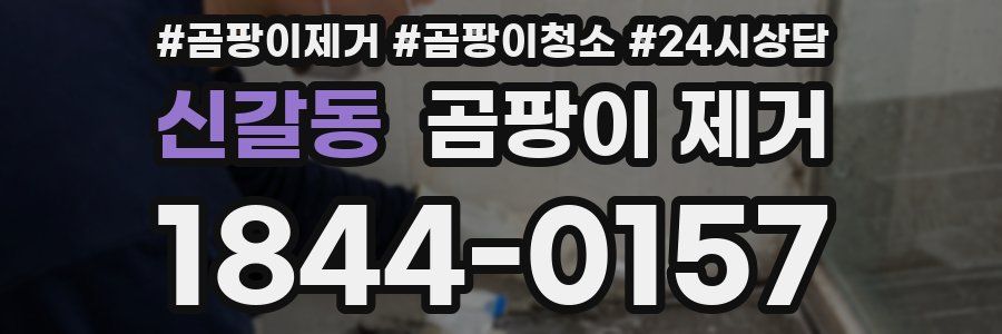 신갈동 곰팡이 제거