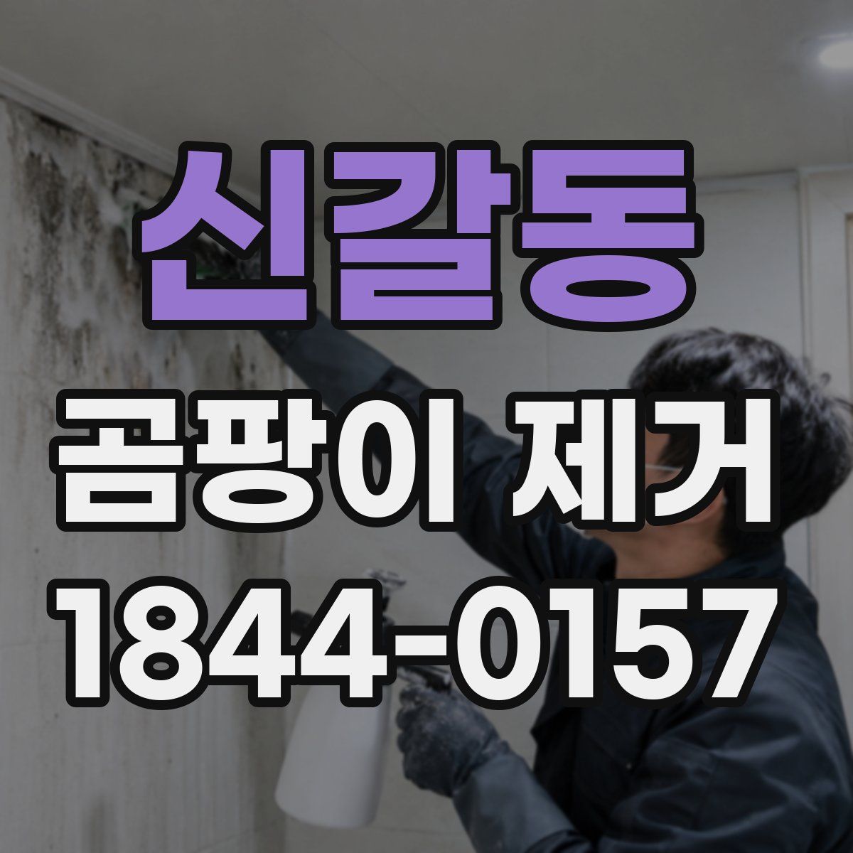 신갈동 곰팡이 제거