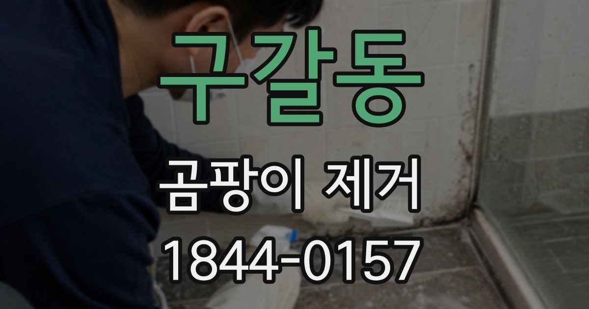구갈동 곰팡이 제거