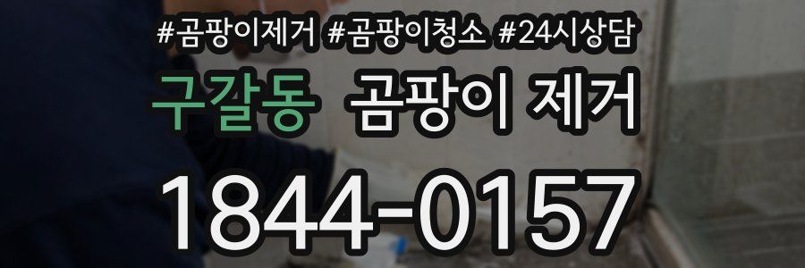 구갈동 곰팡이 제거