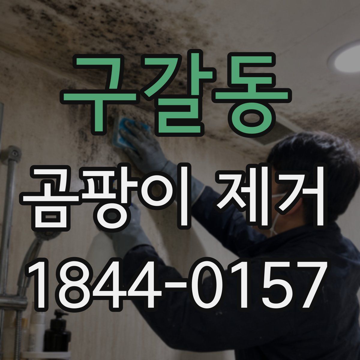 구갈동 곰팡이 제거