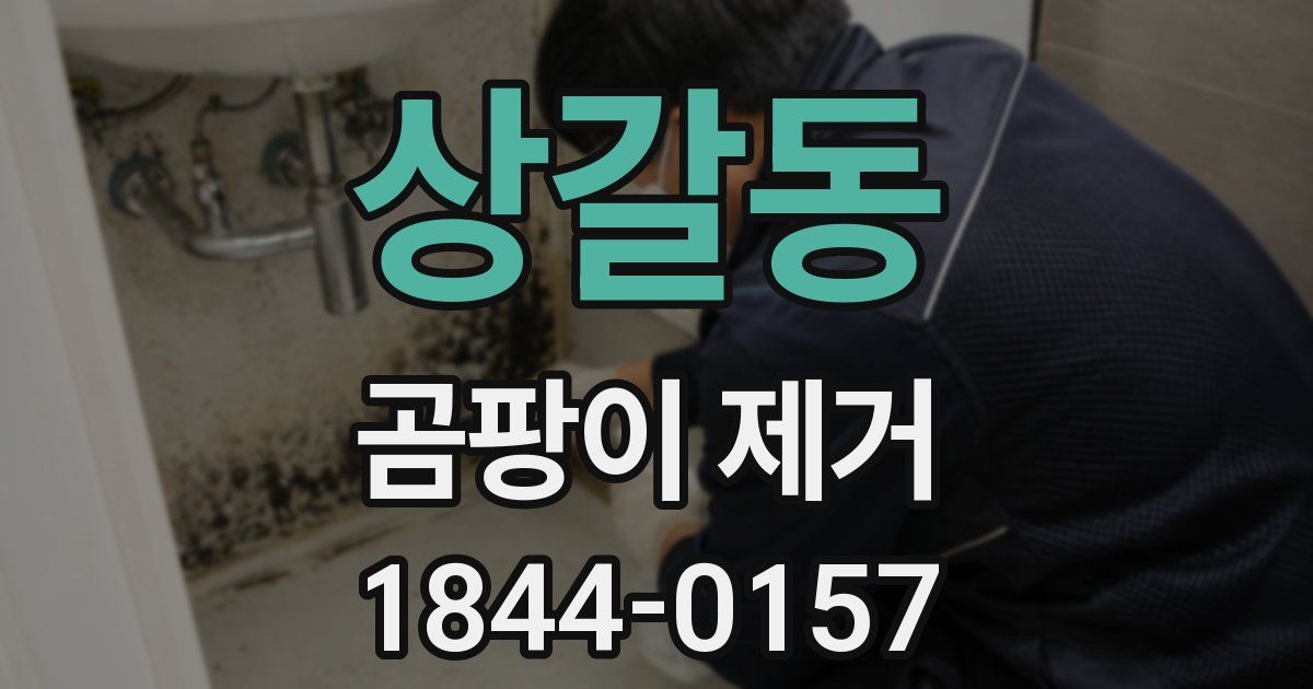 상갈동 곰팡이 제거