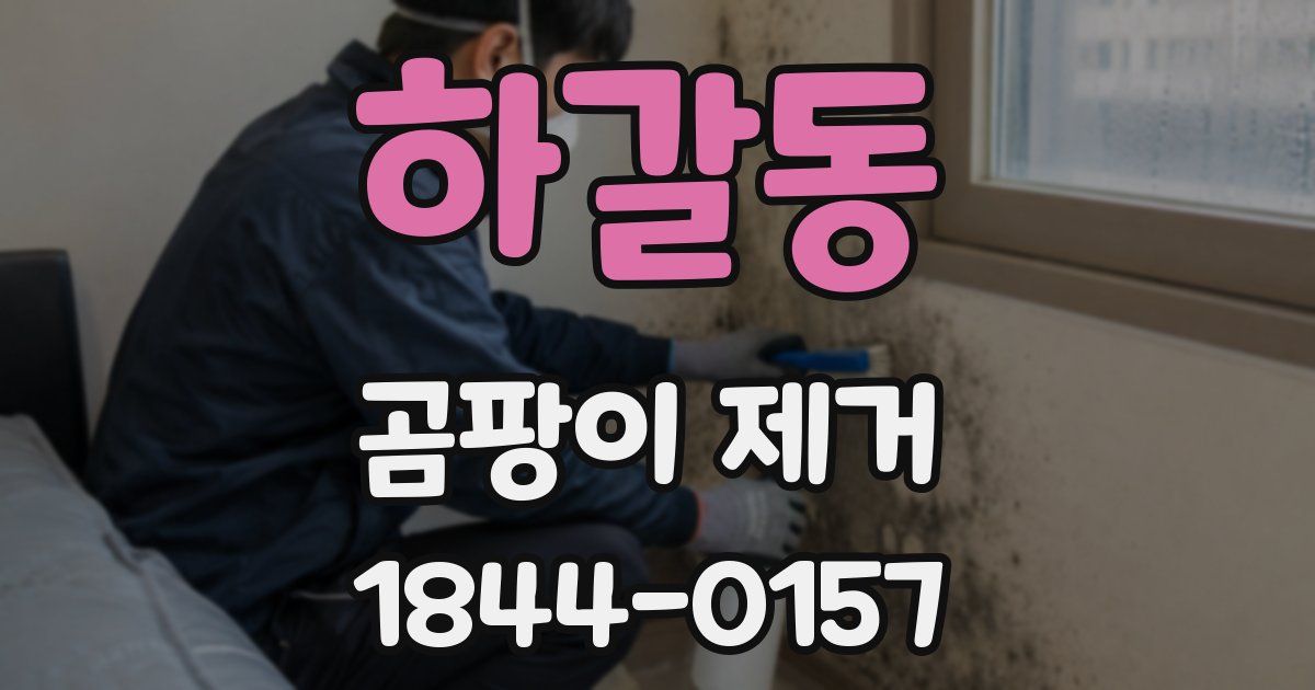 하갈동 곰팡이 제거