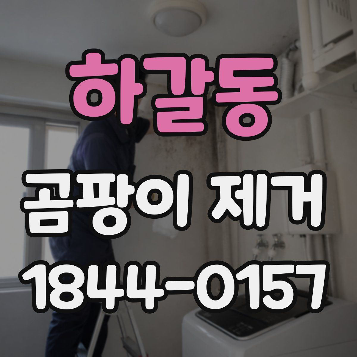 하갈동 곰팡이 제거