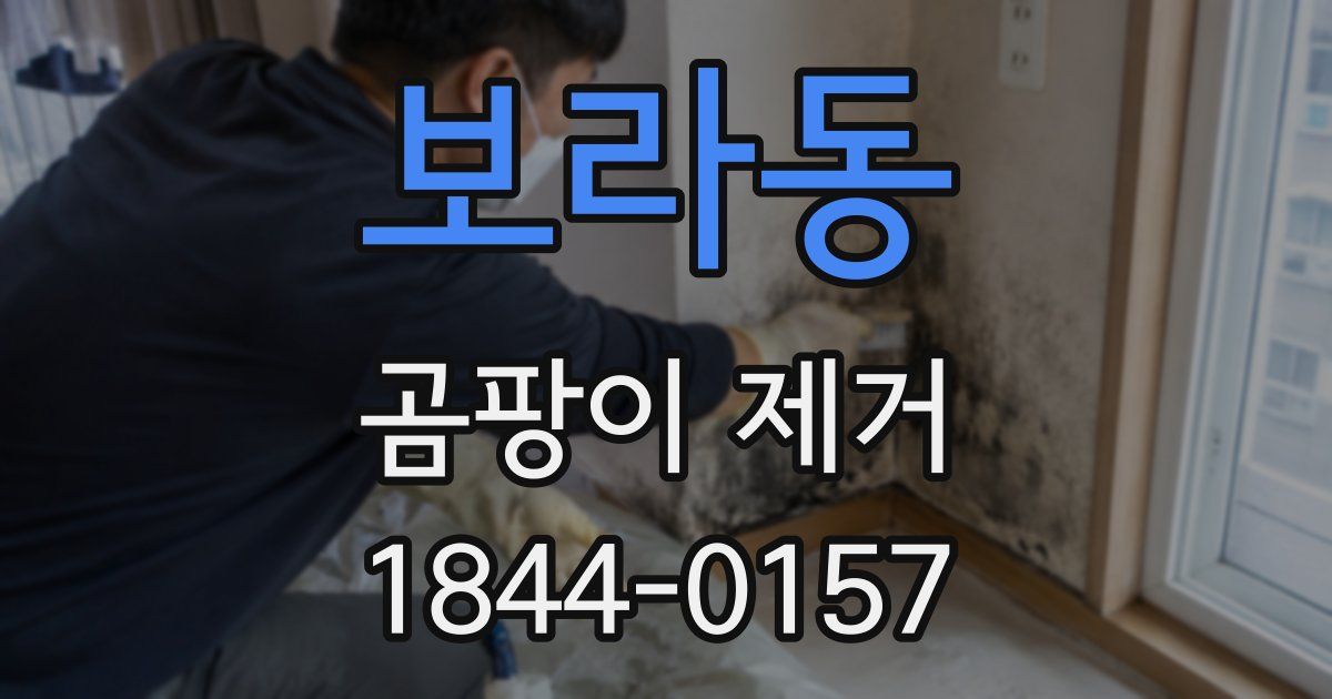 보라동 곰팡이 제거