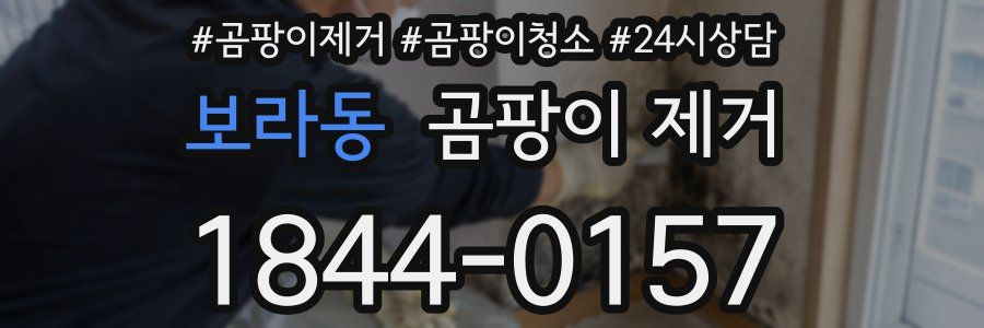 보라동 곰팡이 제거