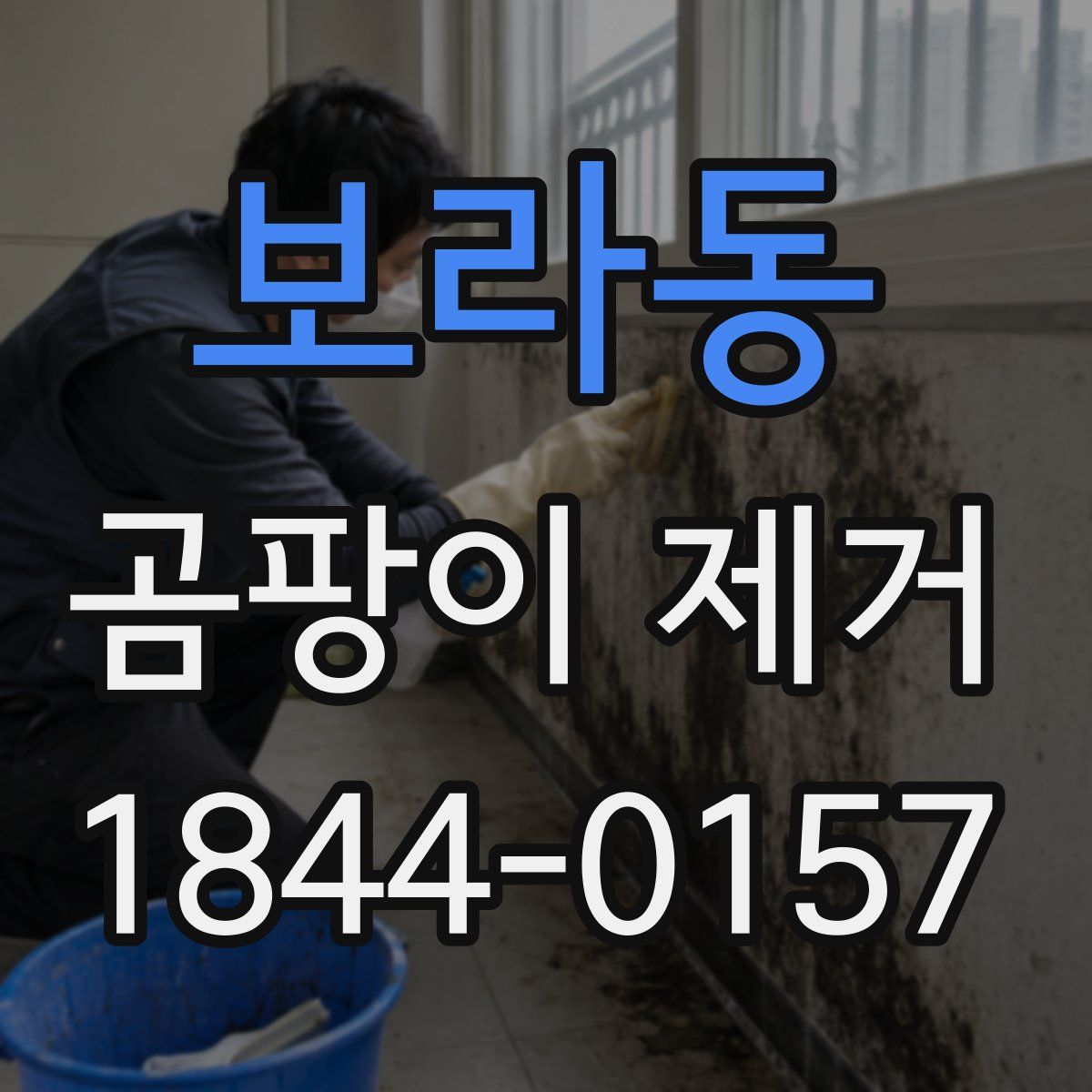 보라동 곰팡이 제거