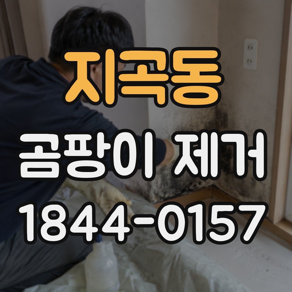 지곡동 곰팡이 제거