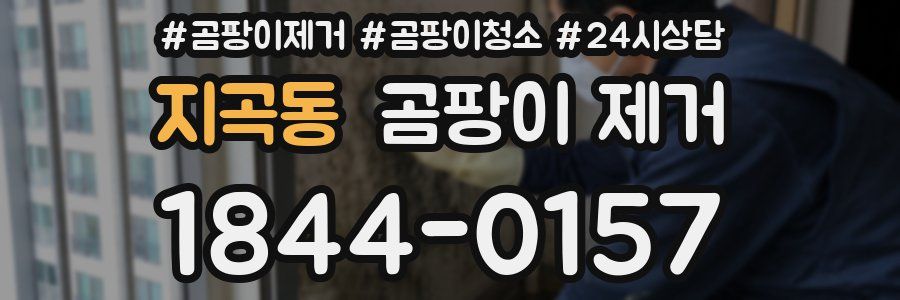 지곡동 곰팡이 제거