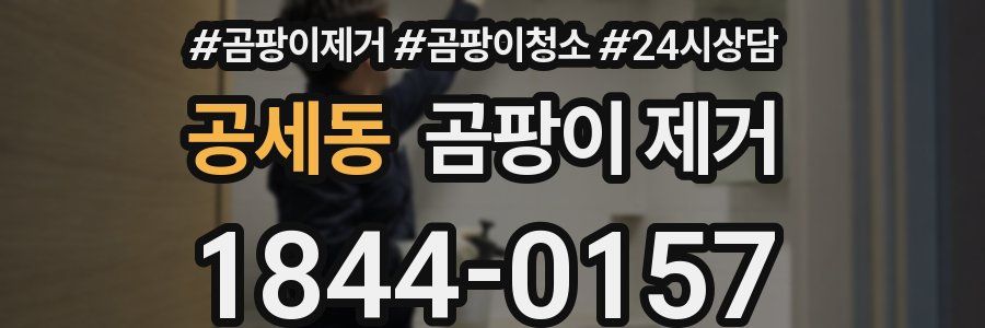 공세동 곰팡이 제거