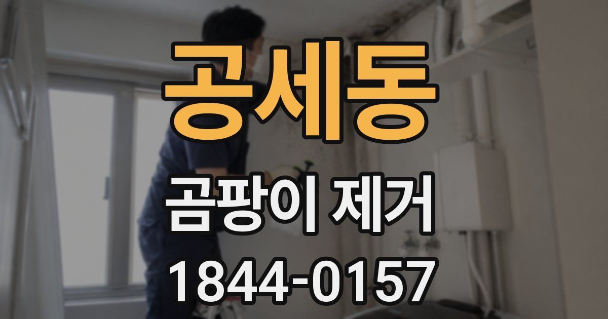 공세동 곰팡이 제거