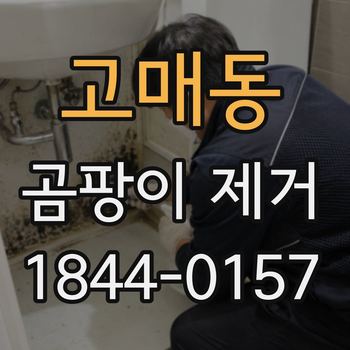 고매동 곰팡이 제거