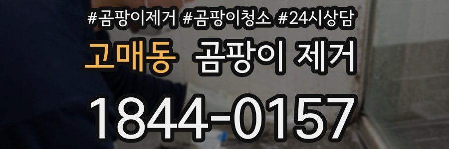 고매동 곰팡이 제거