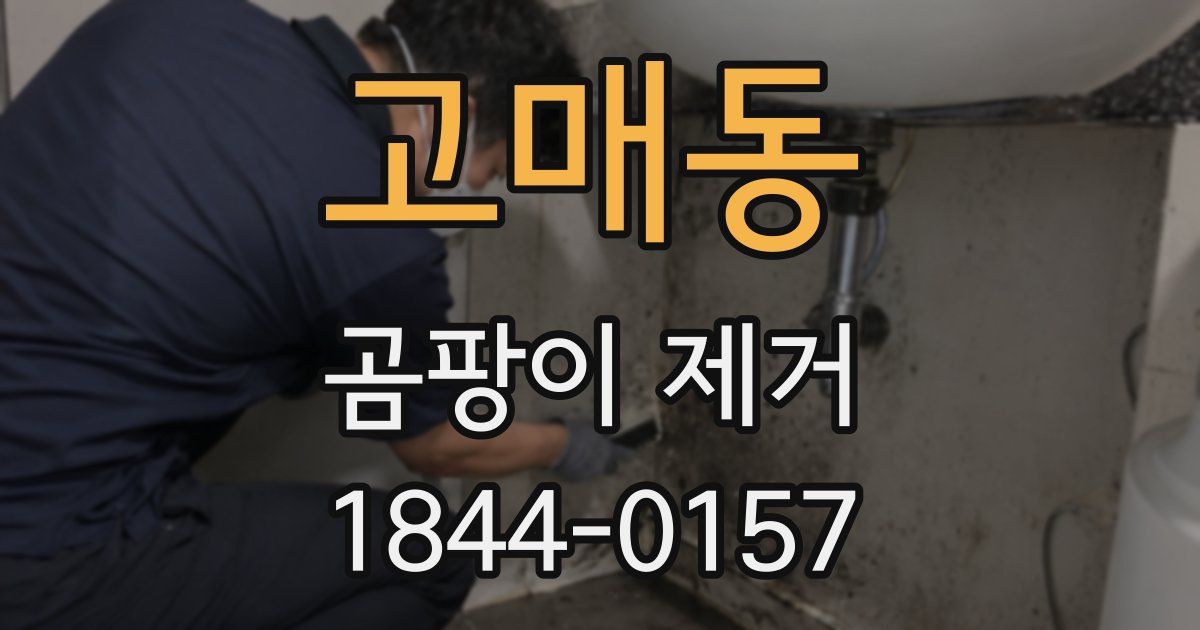 고매동 곰팡이 제거
