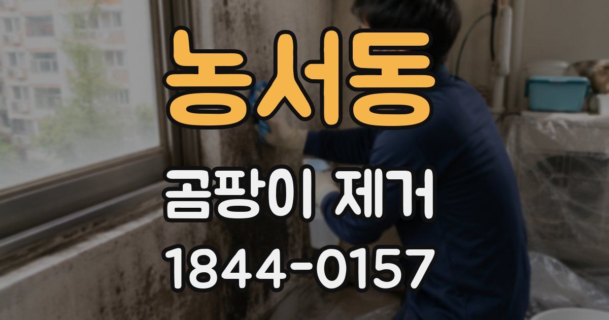 농서동 곰팡이 제거